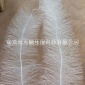 廠家供應污水處理**立體彈性填料 組合填料規格齊全處理效果好
