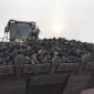 河南省《珊瑚》廠家 火山巖 黑色火山巖 多肉介質 多空隙硬質黑色火山石 3-5MM 25公斤