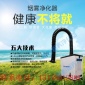移動式烙鐵焊錫抽煙過濾設備艾灸吸煙儀雙頭小型激光機煙霧凈化器