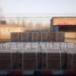 車用尿素溶液 國標車用尿素 汽車尿素水