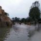 公園公園景觀噴霧設備 雨霧降溫價格更優惠 案例(畢節|銅仁|安順|黔西南|仁懷)