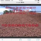 蘇州陶沙廠家 粘土陶粒 價格優惠 貨源充足