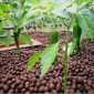 吸水陶粒 生物陶粒 陶粒公司陶粒廠家園林陶粒花卉陶粒,供應,建材家裝,石材石料,陶粒