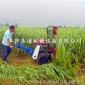 手扶式柳條收割機 麻桿蘆葦收割機 黑龍江葦子割曬機
