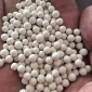 分子篩干燥劑 加氣站分子篩 3A 4A 54A分子篩價格