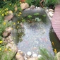 上海益源供應(yīng)景觀噴泉水處理，景觀魚池，小區(qū)景觀水設(shè)備工程
