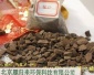 錳砂濾料（水處理除鐵、錳）