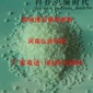 生產(chǎn)廠家供應(yīng)各種規(guī)格純白色污水過濾石英砂濾料 噴砂除銹石英砂