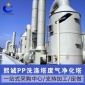 廠家廢氣處理設備 pp洗滌塔 工業** 除臭 除酸霧 凈化裝置