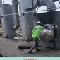 降低大氣污染凈化空氣理想選擇泰翔WSL 垃圾焚燒爐