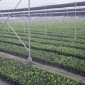 供應安徽宣城農林灌溉工程upvc給水管800mm大口徑給水管廠家定做