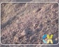 污水處理用膨潤土/脫色處理用膨潤土/**用膨潤土