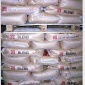 PVC/LG化學/HB-65 長期供應**韓華PVC HB-65 塑料原料