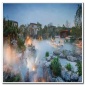 景觀造霧系統(tǒng)        霧森景觀