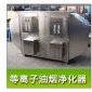低溫等離子油煙凈化器廢氣處理凈化器高壓靜電等離子光氧一體除煙