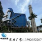 布袋除塵器原理,電廠**布袋除塵器,工業粉塵凈化設備,大型布袋除塵器