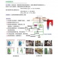 sncr脫硝設備_順潔**_SNCR脫硝_制造工廠