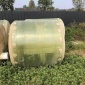 四川好用的化糞池供應-大邑玻璃鋼化糞池 3立方玻璃鋼沉淀池