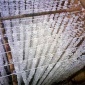組合式填料 污水池組合填料 污水生化處理 夾片維綸醛化絲