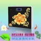 水缸自吸機蘋果四代OR反滲透凈水器節(jié)能微廢水4：1RO純水直飲機