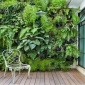 圣恩園藝 植物墻室內(nèi)綠化墻立體綠化墻 垂直植物墻室內(nèi)綠墻