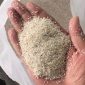 飲用水凈化過濾 優(yōu)質(zhì)石英砂濾料價(jià)格 企尚石英砂生產(chǎn)廠家