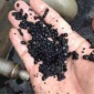厭氧顆粒污泥的價格1噸
