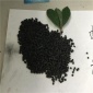 河北 秦皇島 煤質柱狀活性炭 脫硫脫硝煤質活性炭價格 專業生產廠家 工業廢氣木質顆粒活性炭價格