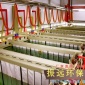 振遠(yuǎn)全自動(dòng)陽(yáng)極氧化設(shè)備，東莞鋁材氧化設(shè)備，深圳氧化設(shè)備，大型鋁材氧化生產(chǎn)線，自動(dòng)化氧化設(shè)備廠家