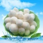改性纖維球填料 污水過(guò)濾生物培菌 球形纖維球?yàn)V料