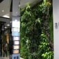圣恩園藝 屋頂綠化 屋頂立體綠化設計施工
