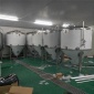 精釀啤酒設備_2019自動化啤酒設備廠家**