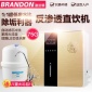 OEM蘋果三代ro機凈水器家用ro反滲透純水機廚房直飲凈水機去水垢