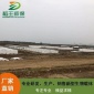 河道治理生物載體填料DWP-X20 稻王 **生物填料 安裝簡單 高品質廠家