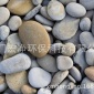 福建 鵝卵石/礫石 鵝卵石濾料 Pebbles 爭(zhēng)創(chuàng)海西**材料優(yōu)勢(shì)品牌