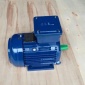 供應臺灣東元三相異步電機AEVFF3 45KW 60HP 立式原裝** TECO