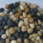 卵石礫石濾料,福州離子交換樹脂,活性炭濾料供應(yīng)商