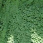 工業(yè)硫酸亞鐵，山東工業(yè)硫酸亞鐵，山東聊城污水處理硫酸亞鐵，山東工業(yè)硫酸亞鐵廠家