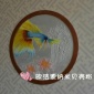 【歐潔源】納米貝殼粉內墻涂料 貝殼粉涂料廠家 功能性涂料 藝術涂料 **涂料 藝術壁材