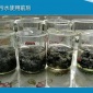 去除率可達99.90%-99.99% 氨氮去除劑