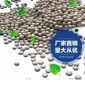 汽車除味納米礦晶硅藻純 九澤 批發(fā)生產(chǎn)硅藻純干燥劑活性炭