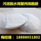 1袋起訂陽離子聚丙烯酰胺 工業級PAM 污泥脫水用聚丙烯酰胺