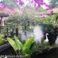 吐魯番水霧造景 高壓噴霧景觀設備
