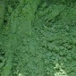山東七水硫酸亞鐵，山東優質七水硫酸亞鐵，山東七水硫酸亞鐵脫色劑，山東七水硫酸亞鐵廠家