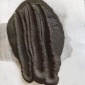 供應碧之源污水處理用鐵粉 廠家 價格優惠