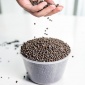 龍安泰 臭氧催化劑  臭氧填料 臭氧催化氧化 臭氧催化劑廠家 臭氧填料廠家