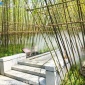 崇左霧森品牌 霧森造霧機(jī) 高壓噴霧造景設(shè)備