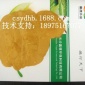 聚合硫酸鐵 凈水劑 污水處理聚合硫酸鐵