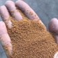 供應沉淀池 洗煤廠用高含量絮凝劑 工業級 飲水級 聚合氯化鋁PAC 鄭州富之源