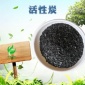彬偉供應 水處理果殼煤質破碎顆粒活性炭 廢水過濾果殼活性炭